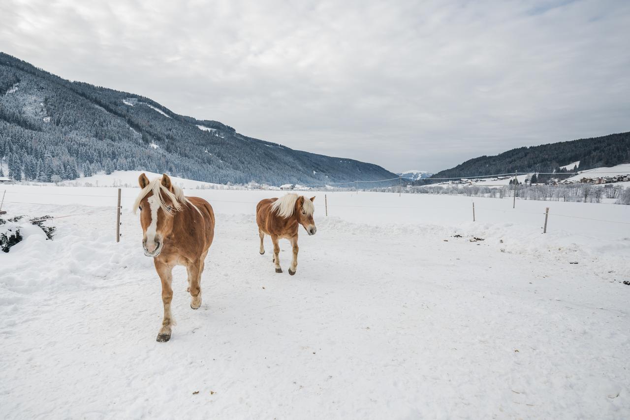 Appartamento Pichlerhof Planca di Sopra Esterno foto