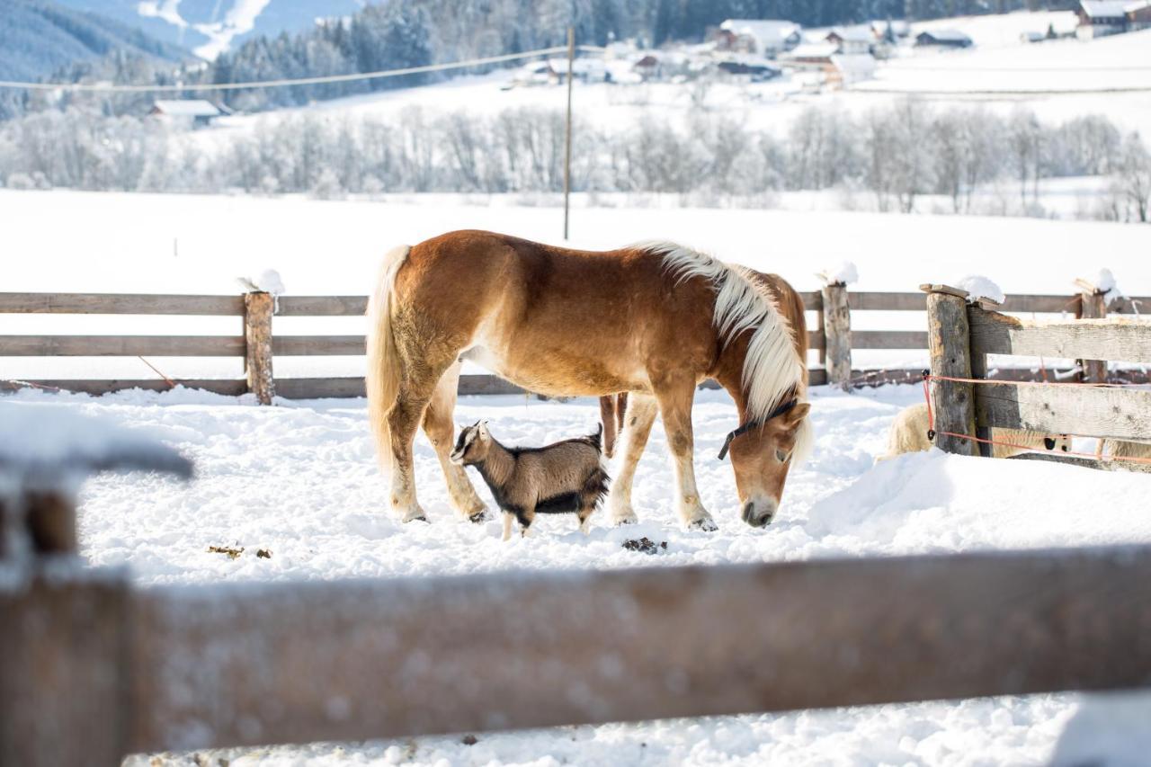 Appartamento Pichlerhof Planca di Sopra Esterno foto